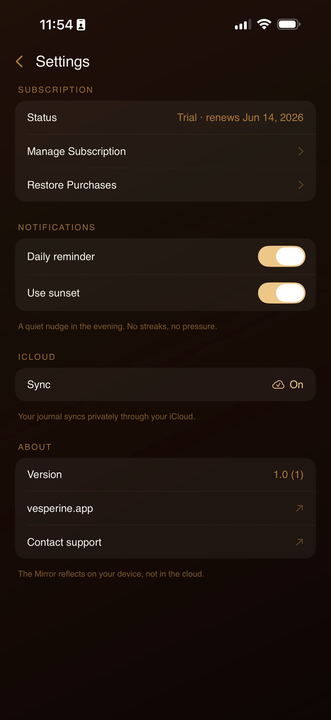 The Settings screen showing the iCloud sync row and the evening reminder options.